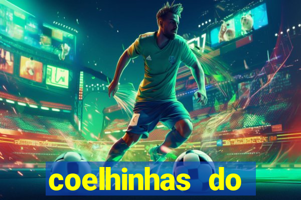 coelhinhas do brasil recife